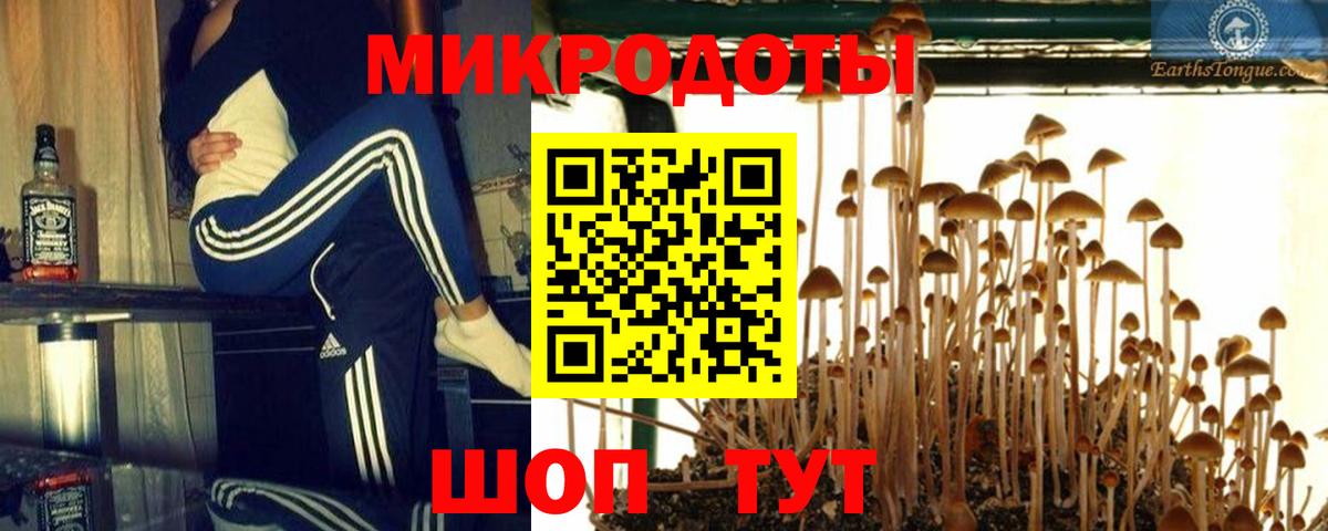 Лысьва  Псилоцибиновые грибы GOLDEN TEACHER  Вход с VPN 