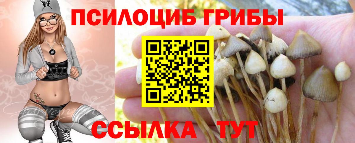 Псилоцибиновые грибы прущие грибы Лысьва
